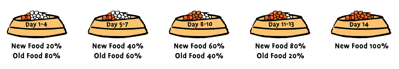 BH Diet Transition-01_croptrans.png