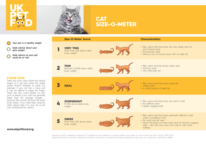 uk-pet-food-Cat-Size-O-Meter.png